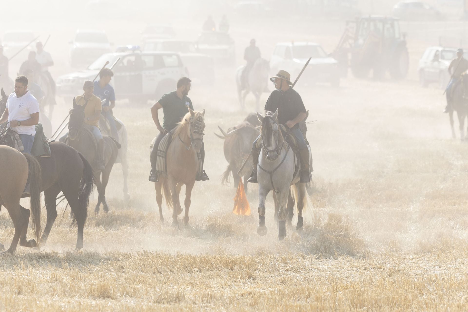 Las imágenes del encierro mixto de Íscar