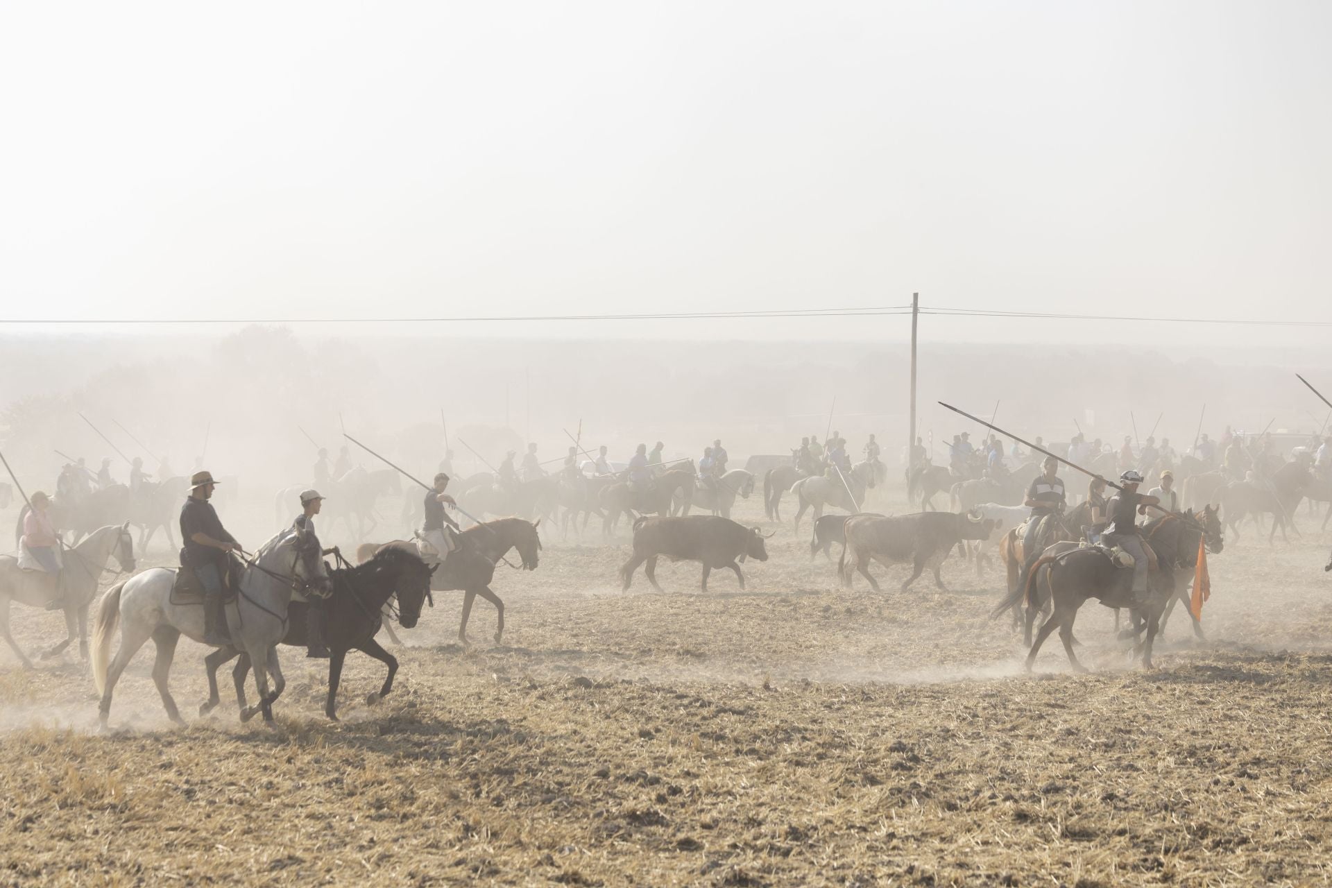 Las imágenes del encierro mixto de Íscar
