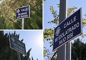 Las ocho calles de Valladolid que deben su nombre a obras de Delibes