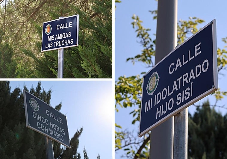 Algunas de las calles bautizadas por las obras de Delibes.