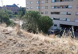 Abajo, el vehículo que cayó por el terraplén de una pasarela desde diez metros.