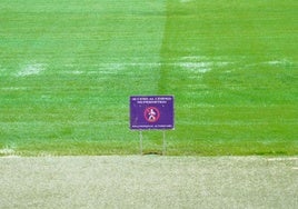 Estado del césped del Estadio José Zorrilla.