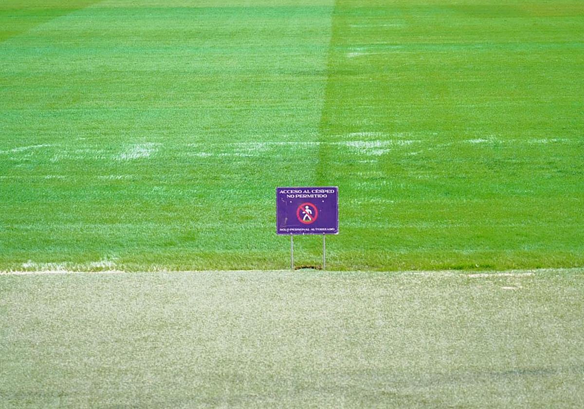 Estado del césped del Estadio José Zorrilla.