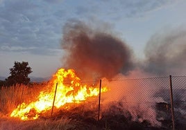 Las llamas llegaron a ocupar una amplia superficie.