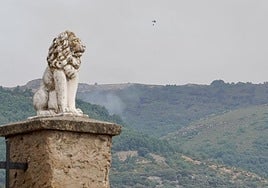 Las imágenes del incendio de Olleros de Alba