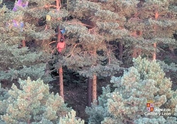 Rescatan en helicóptero a un parapentista colgado de un árbol