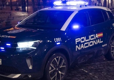 Detenido en Segovia por intento de homicidio tras una brutal paliza en San Lorenzo