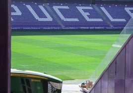 Estado del césped de Zorrilla, este jueves.