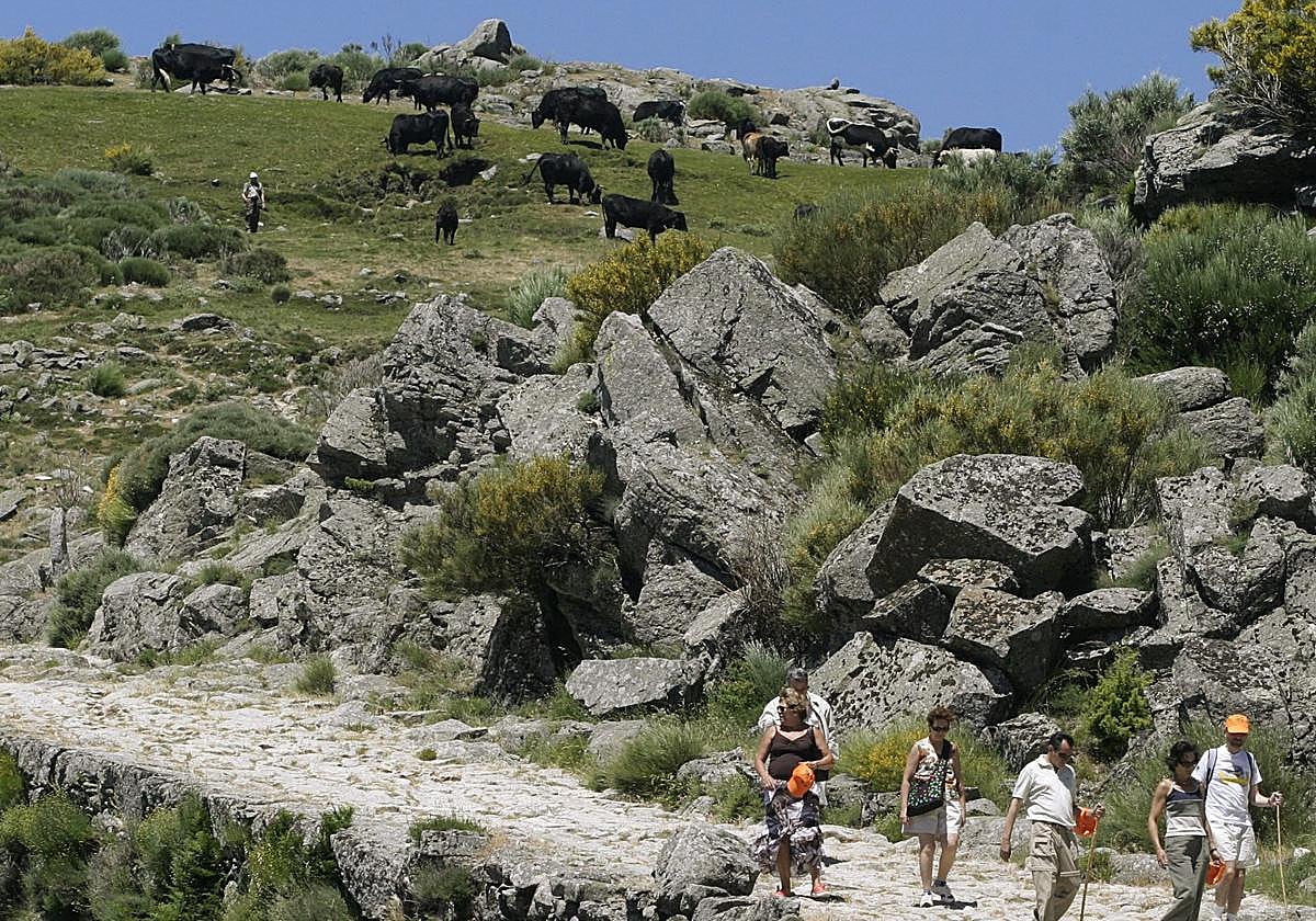 Puerto del Pico, en Ávila.