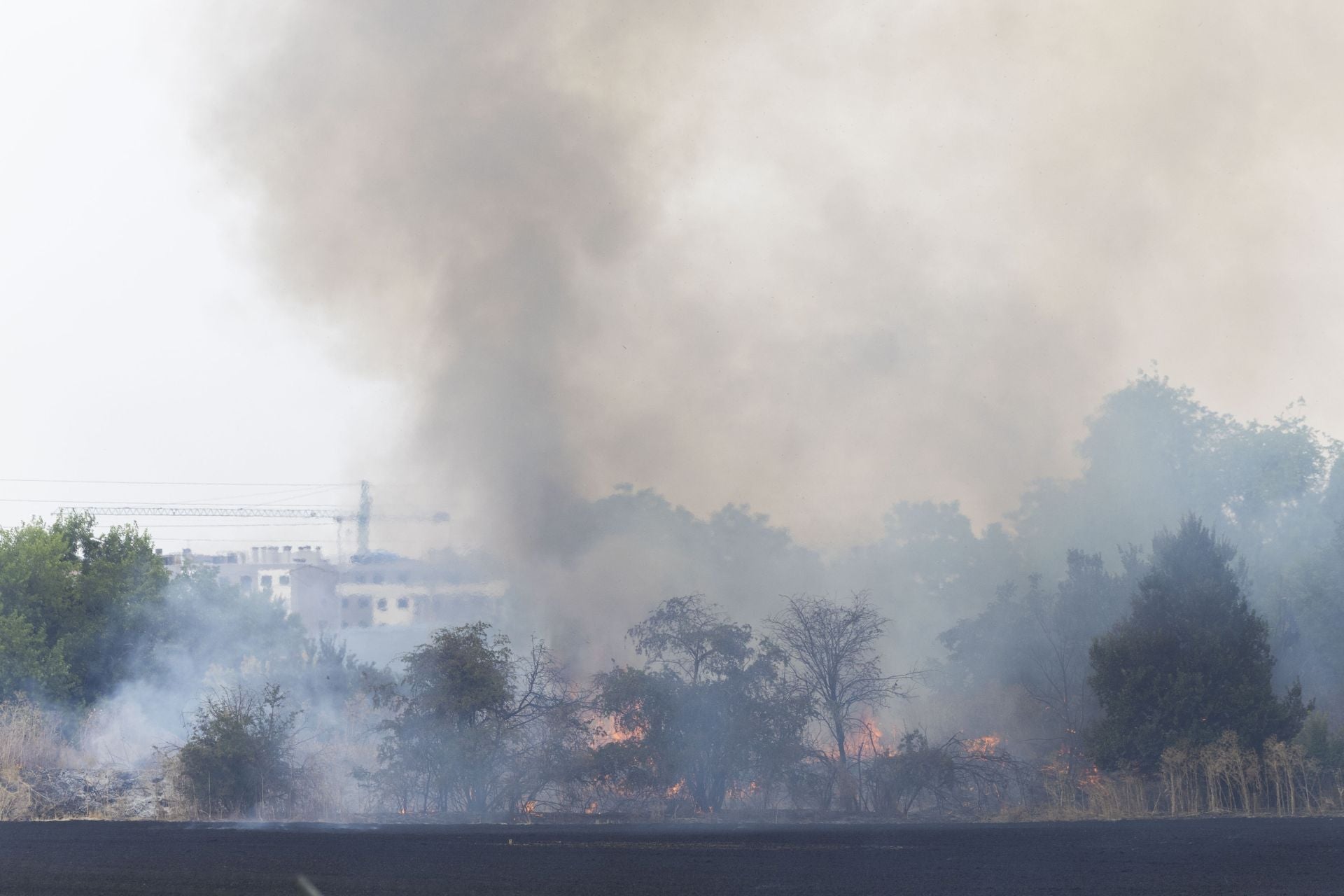 El incendio entre la VA-30 y la vía del tren en Arca Real, en imágenes