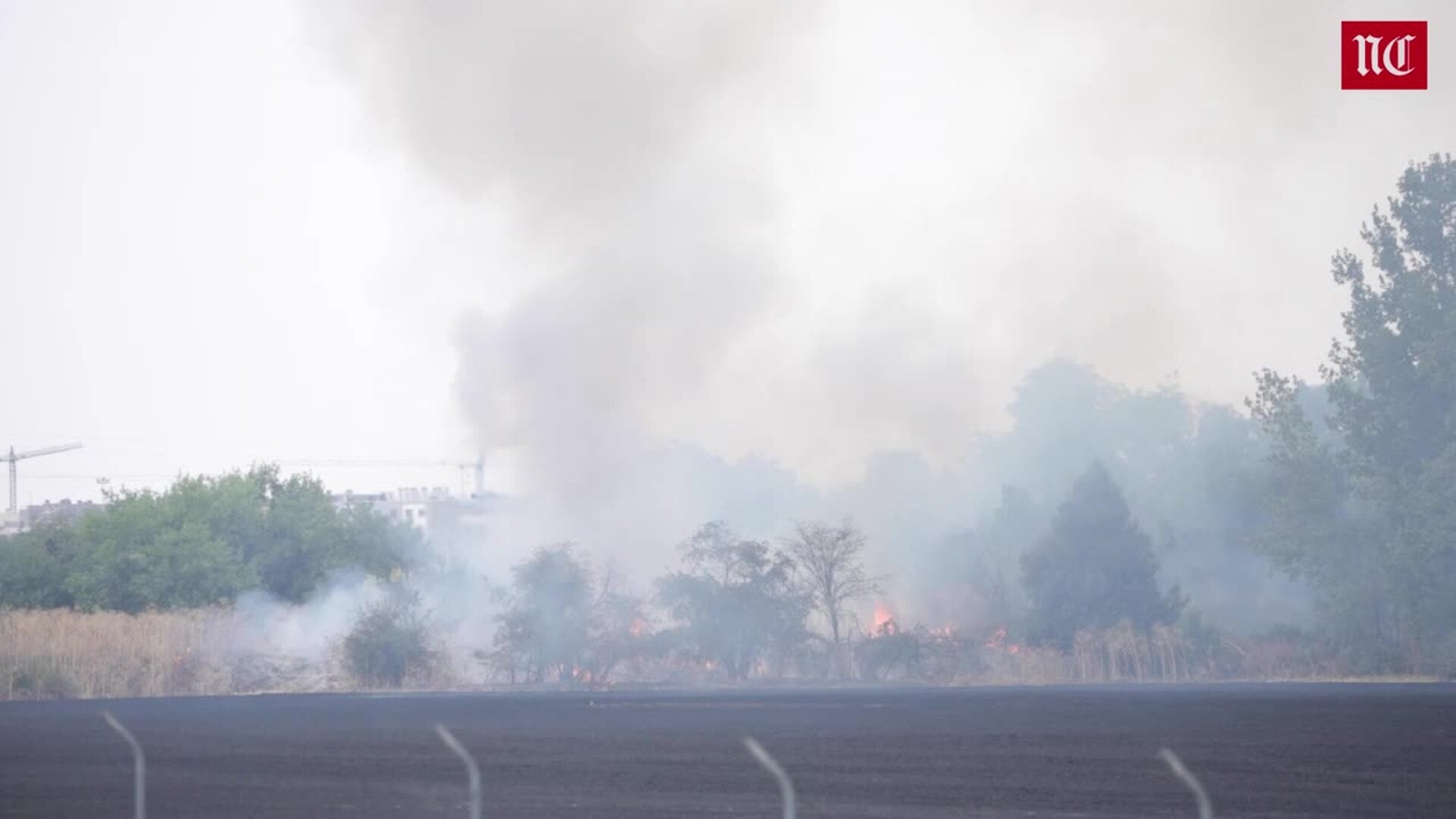 Así ha sido el incendio entre la VA-30 y la vía del tren en Arca Real