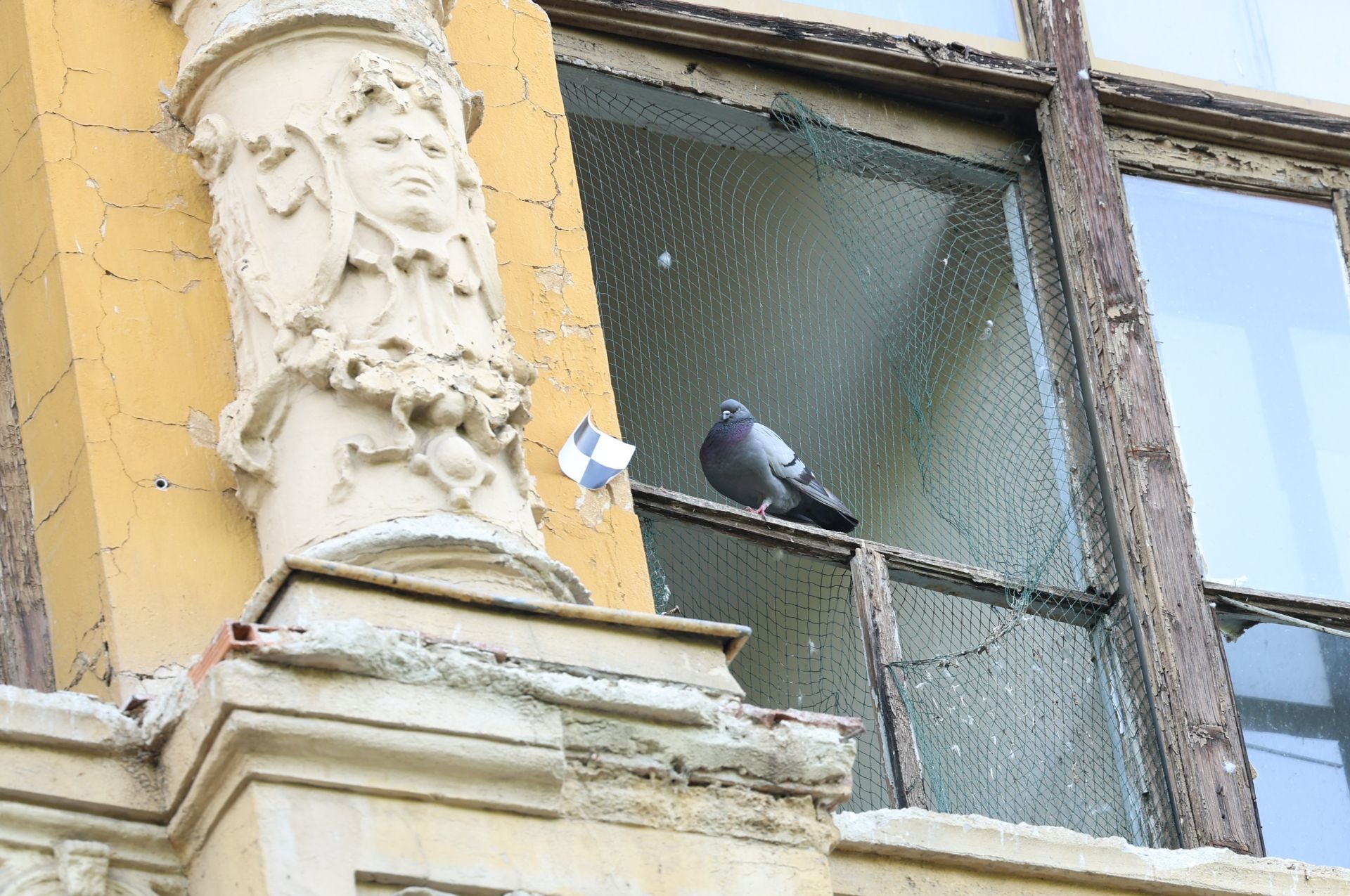 Ventanas cubiertas con mallas para que las palomas no accedan al interior.