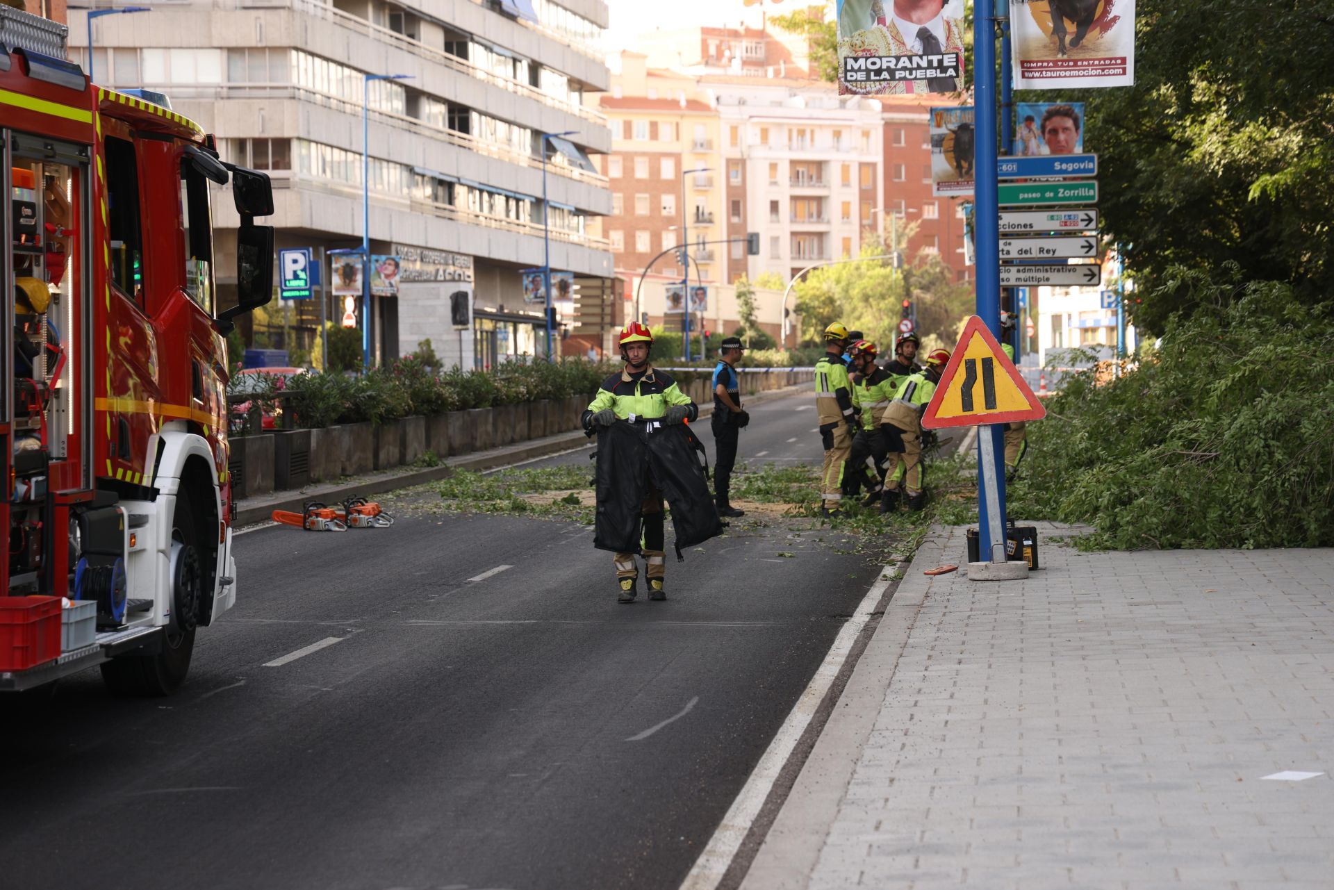 Los Bomberos de Valladolid, en plenas labores de limpieza del árbol caído, en el paseo Isabel la Católica.