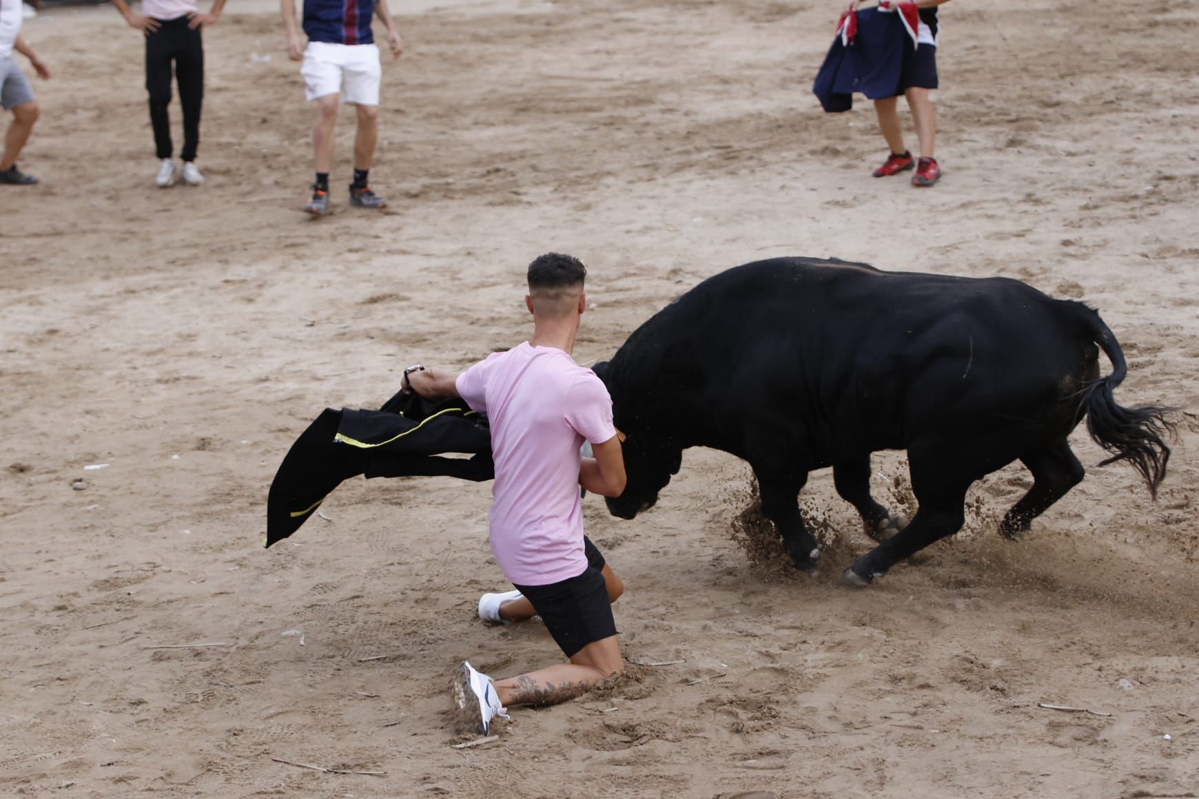 Las imágenes del VII Toro del Caño en Castrejón de Trabancos