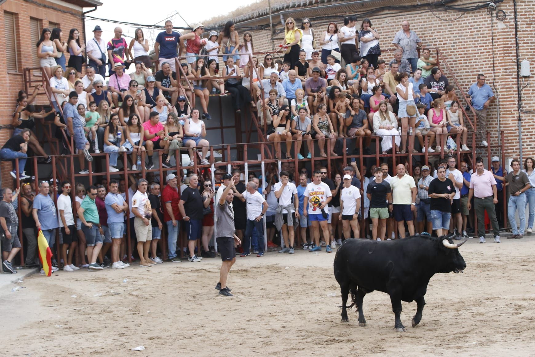 Las imágenes del VII Toro del Caño en Castrejón de Trabancos