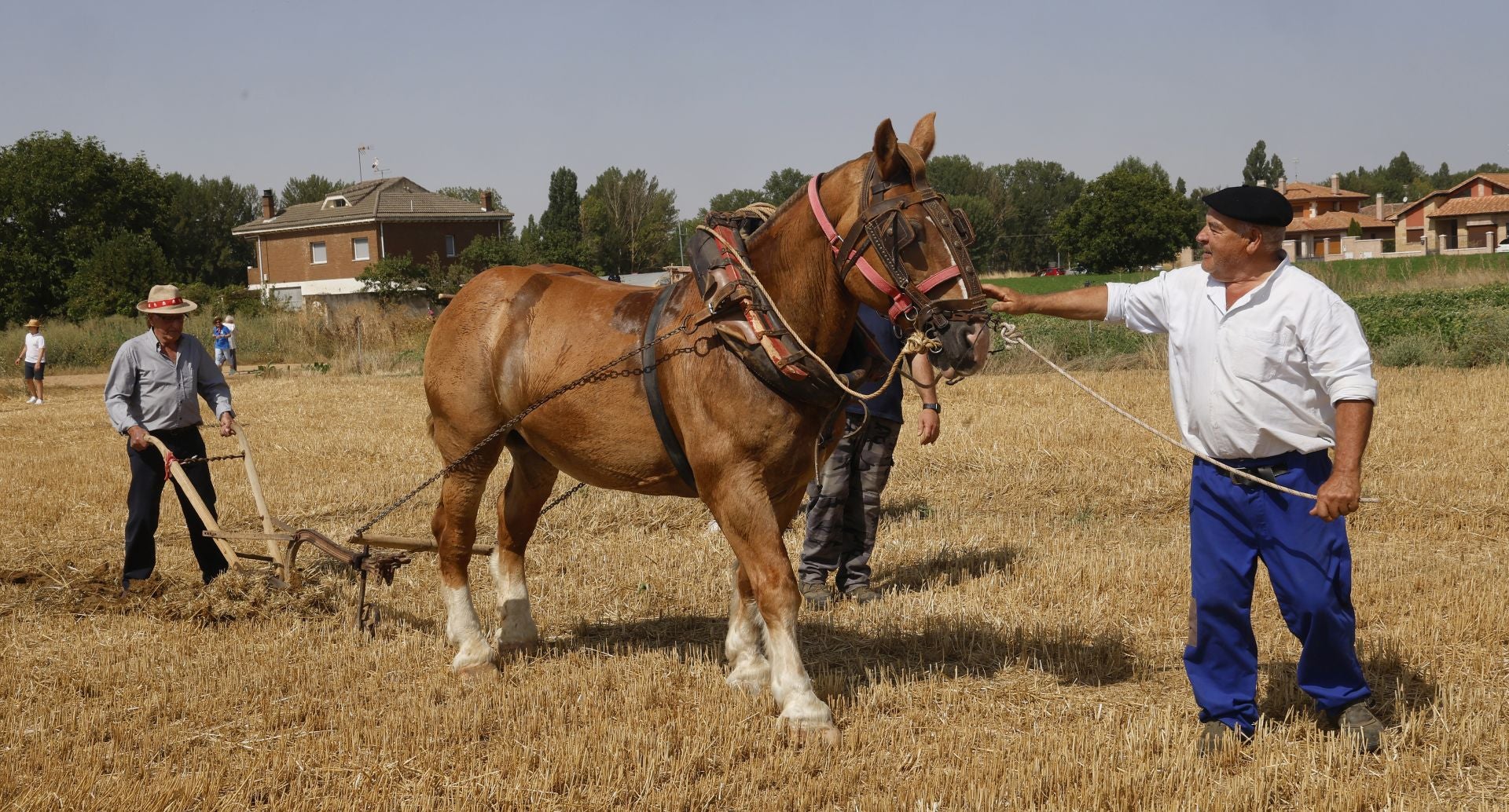 Castrillo de Villavega retrocede al pasado con la Fiesta de la Trilla