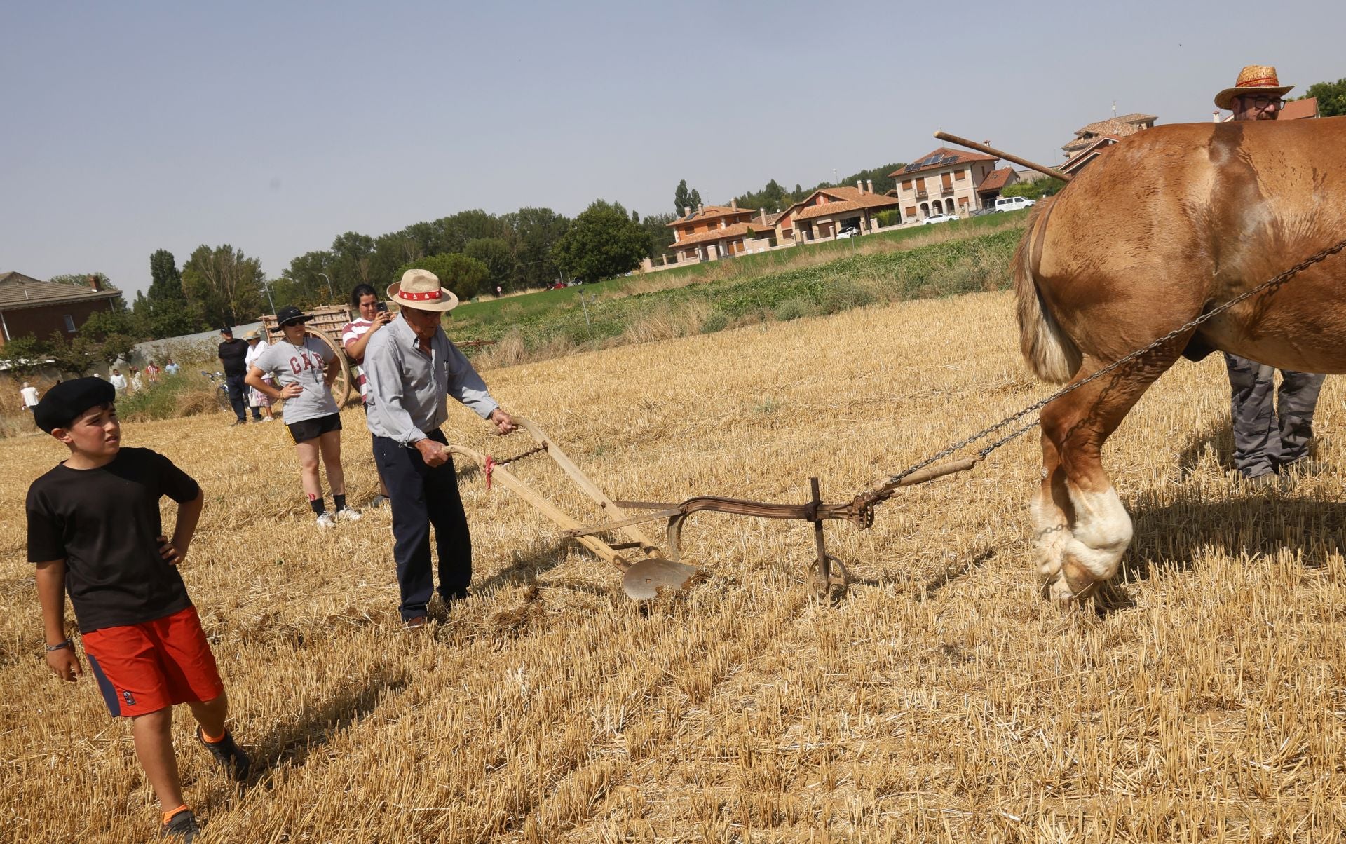 Castrillo de Villavega retrocede al pasado con la Fiesta de la Trilla