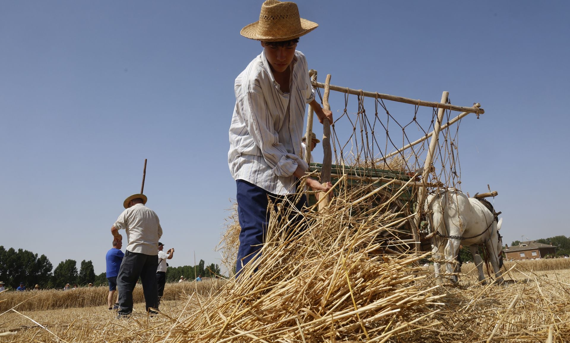 Castrillo de Villavega retrocede al pasado con la Fiesta de la Trilla