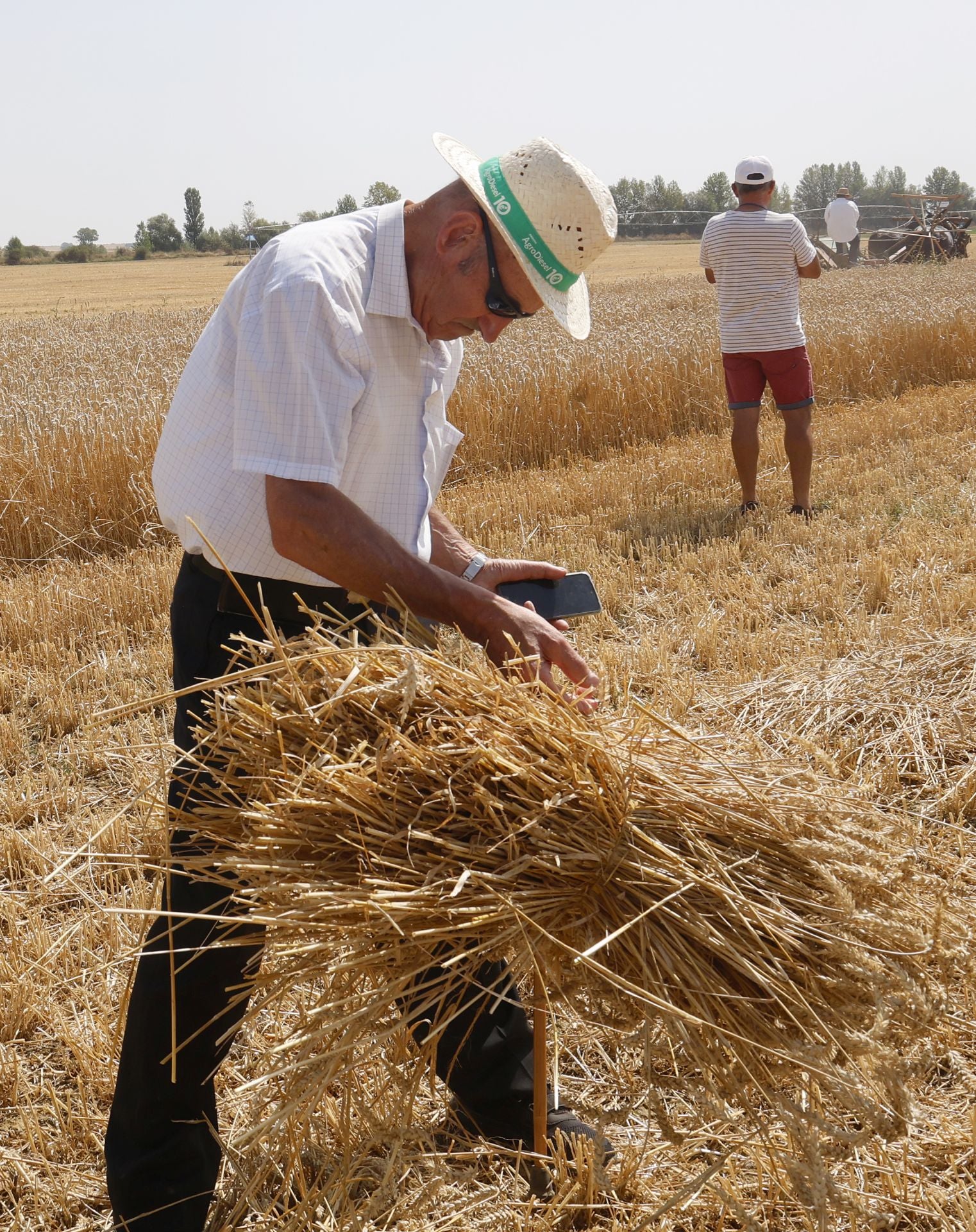 Castrillo de Villavega retrocede al pasado con la Fiesta de la Trilla