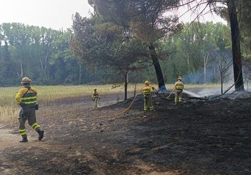 Controlan en menos de una hora un conato de incendio en Cuéllar