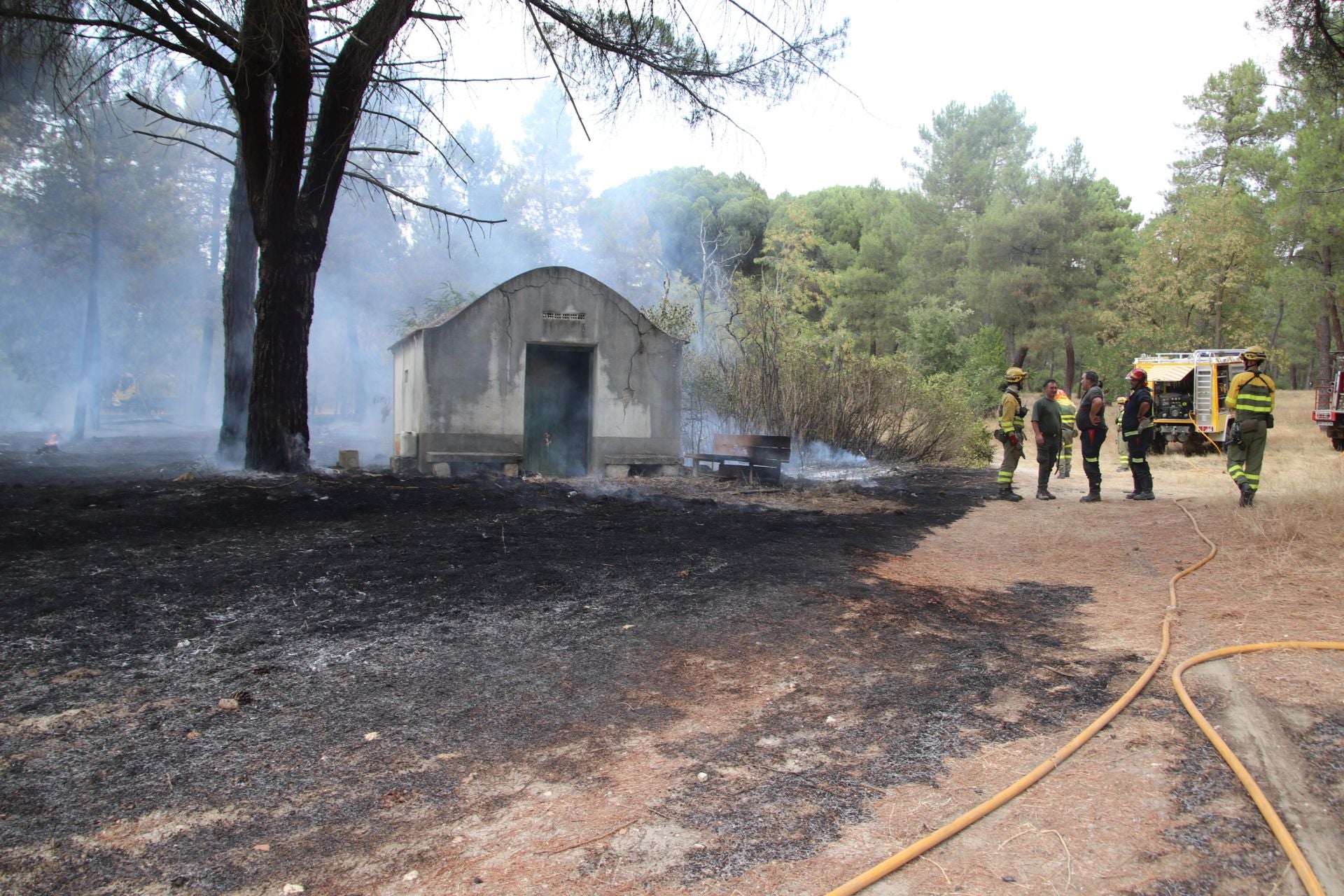 Fotos del incendio en Cuéllar junto al río Cega