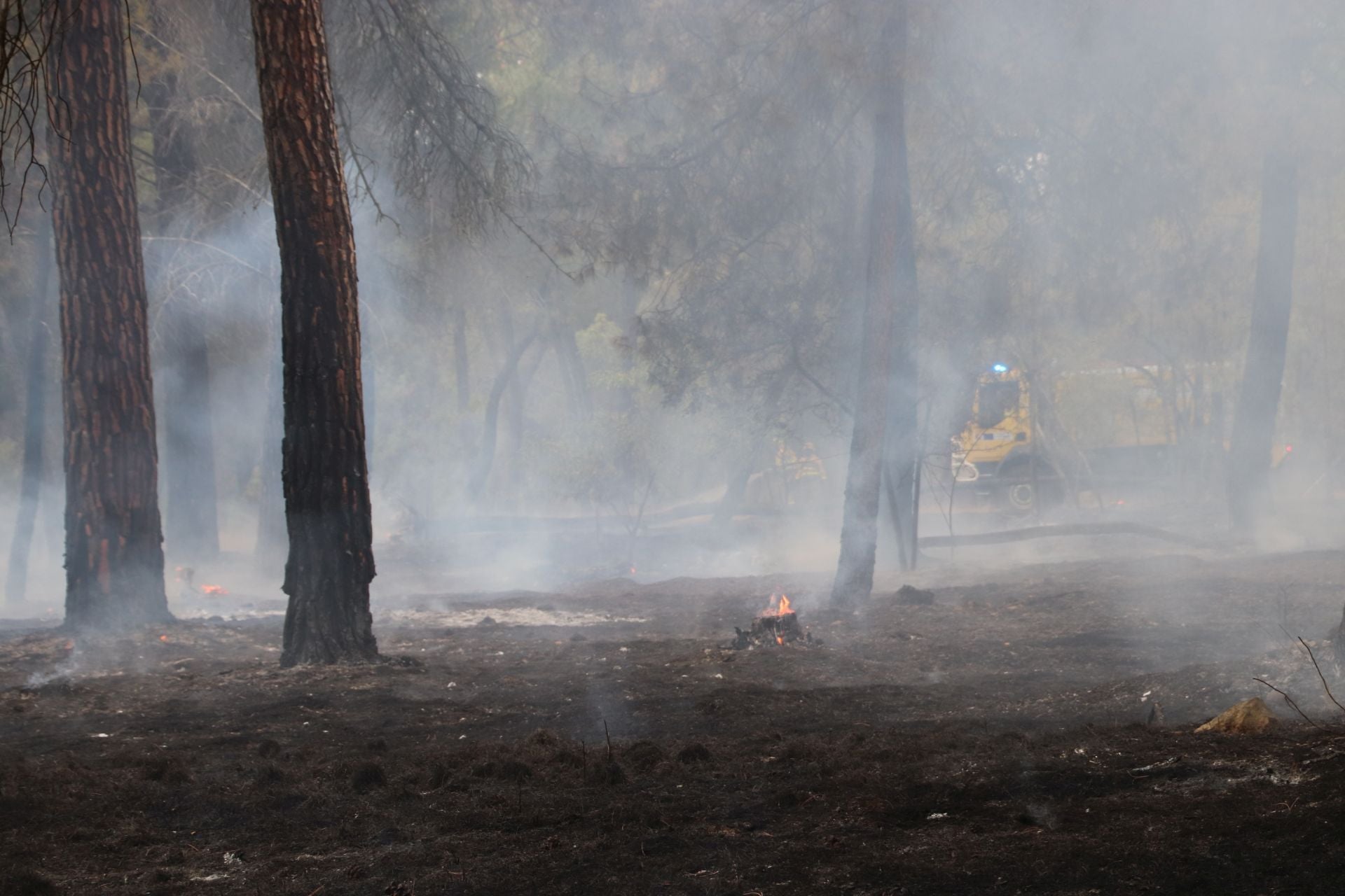 Fotos del incendio en Cuéllar junto al río Cega