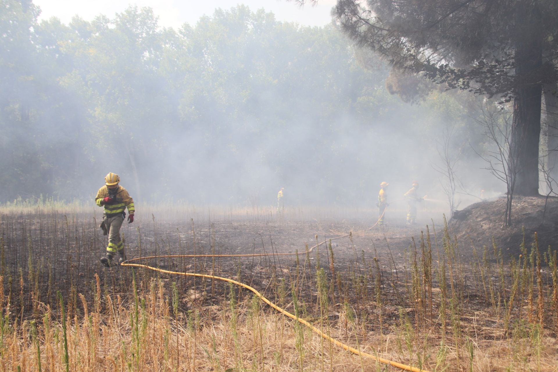 Fotos del incendio en Cuéllar junto al río Cega