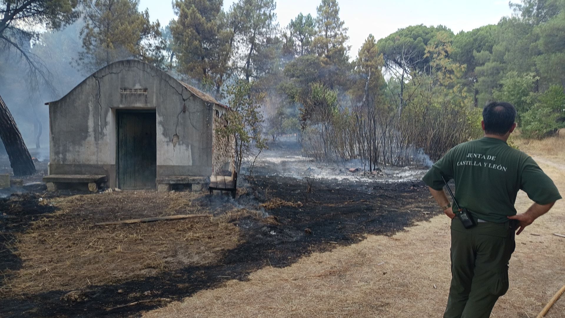 Fotos del incendio en Cuéllar junto al río Cega