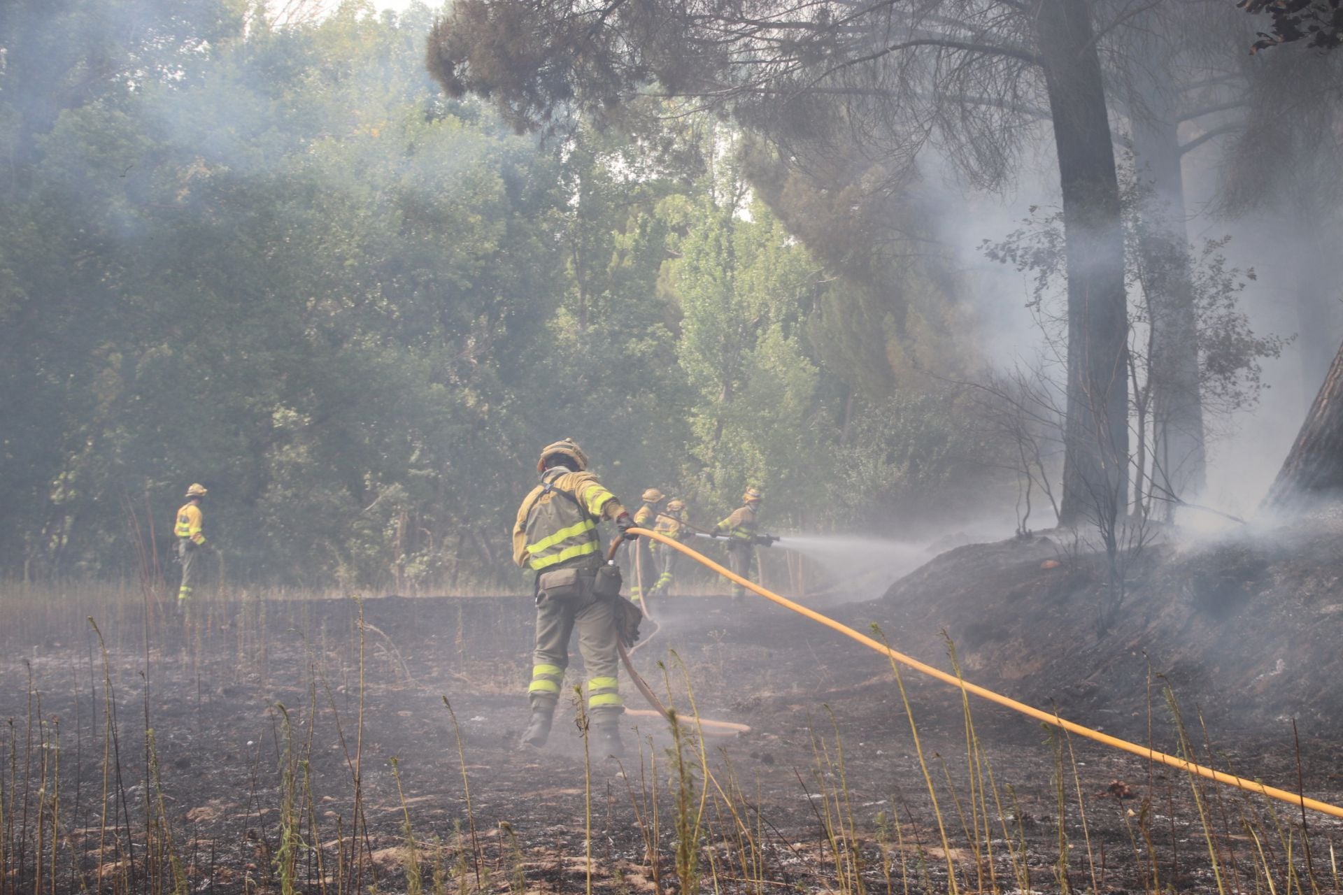 Fotos del incendio en Cuéllar junto al río Cega