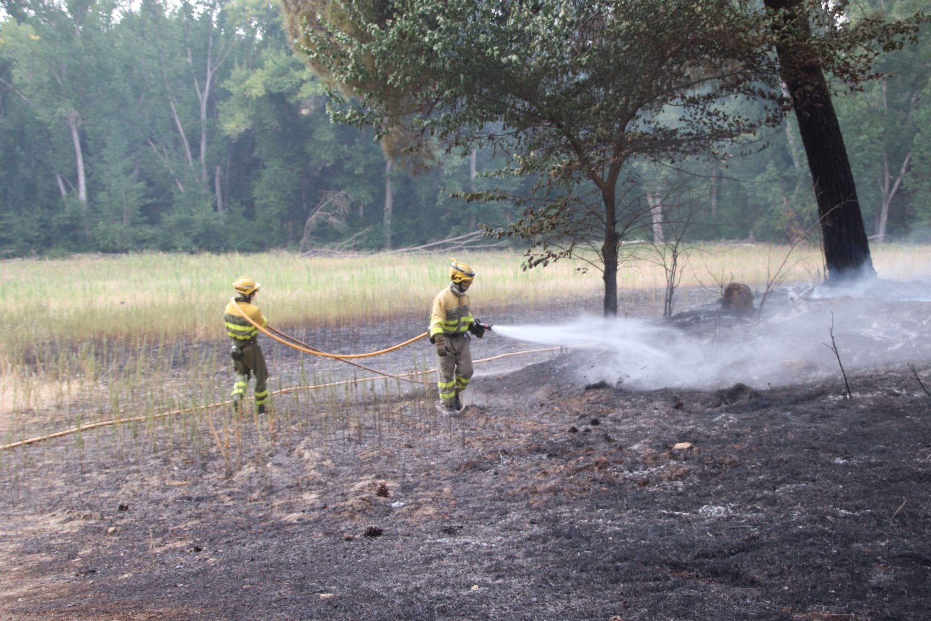 Fotos del incendio en Cuéllar junto al río Cega