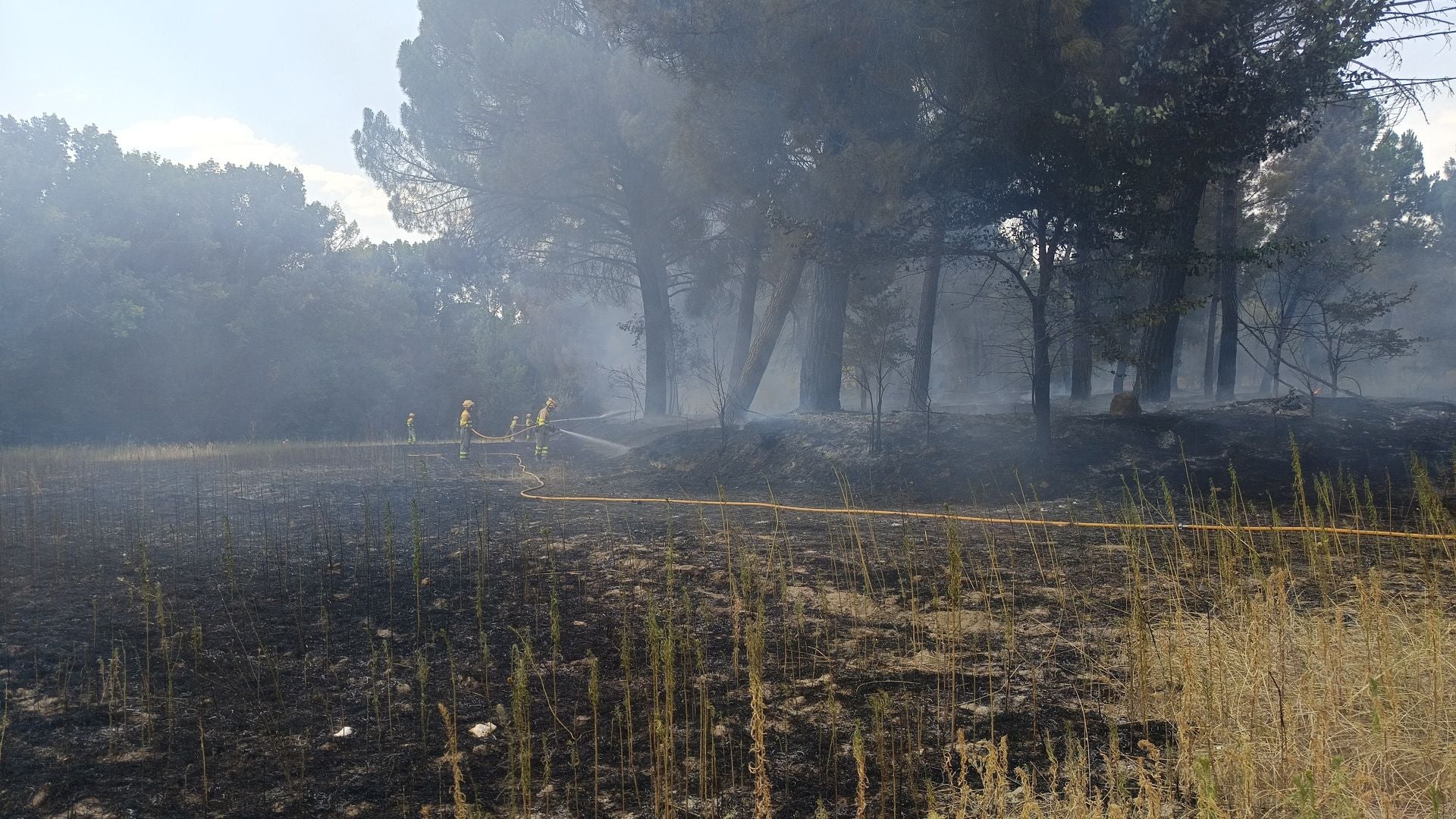 Fotos del incendio en Cuéllar junto al río Cega