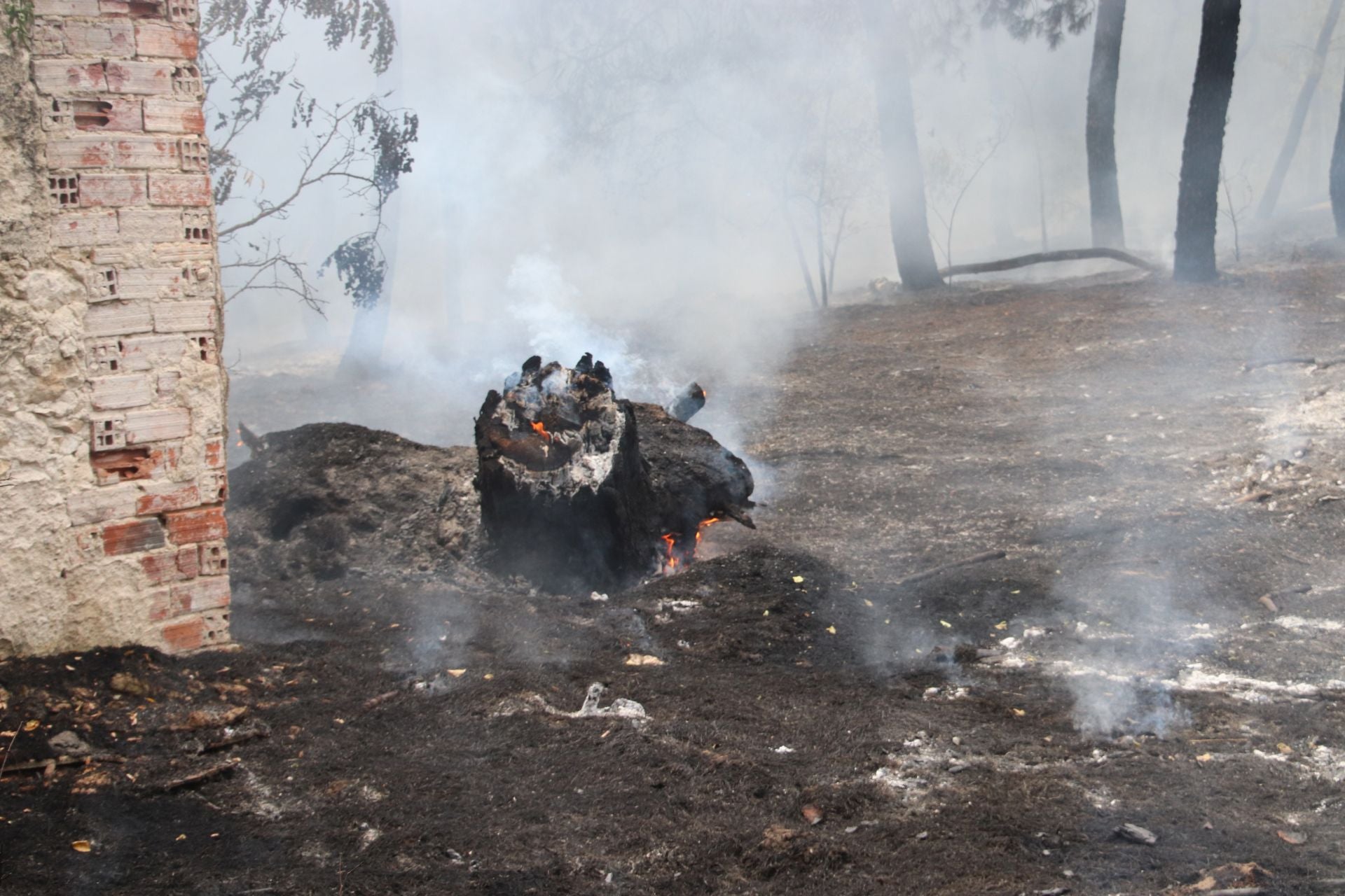 Fotos del incendio en Cuéllar junto al río Cega