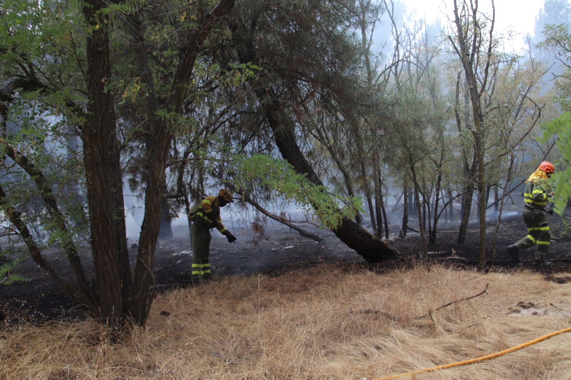 Fotos del incendio en Cuéllar junto al río Cega