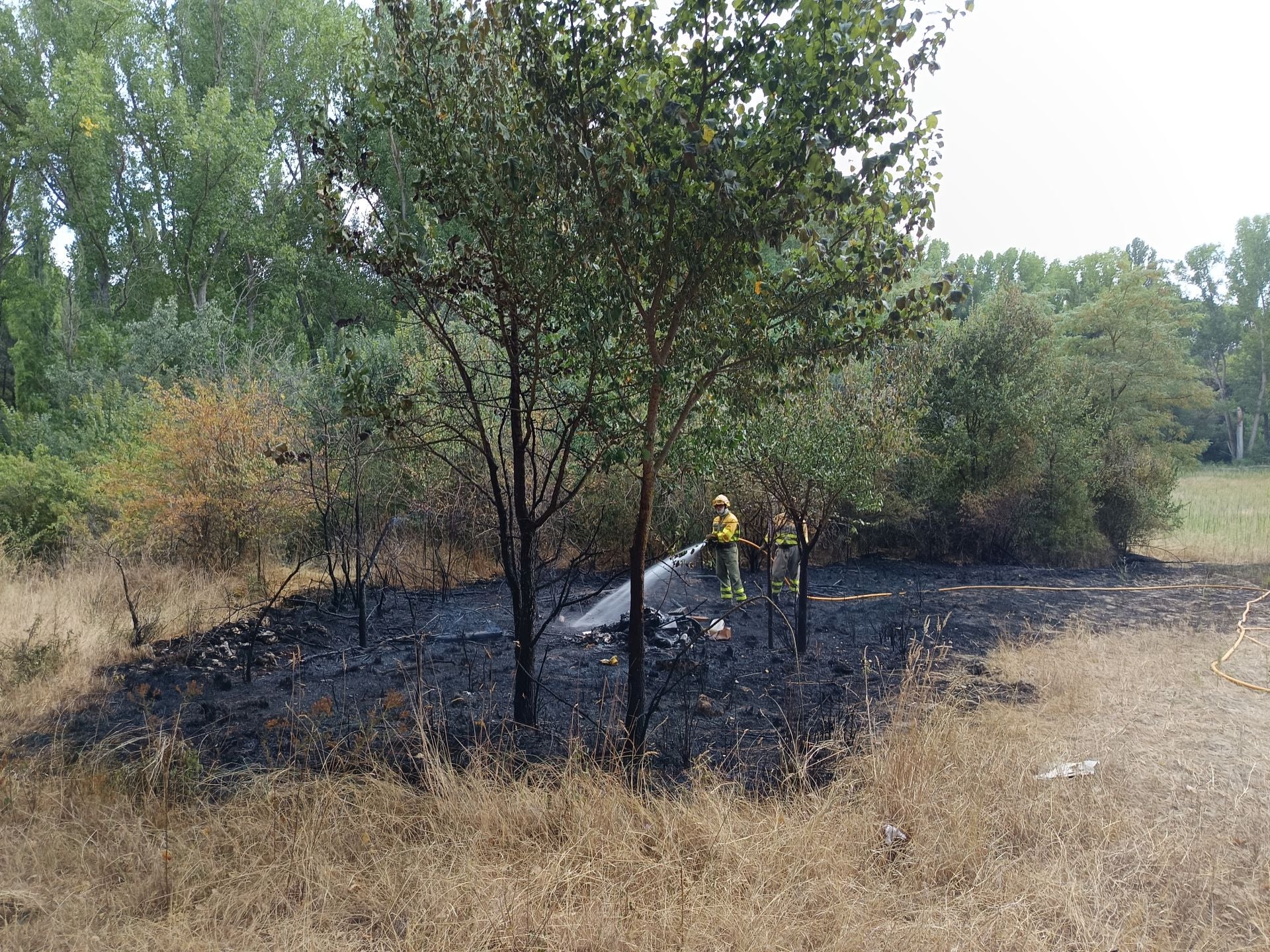 Fotos del incendio en Cuéllar junto al río Cega