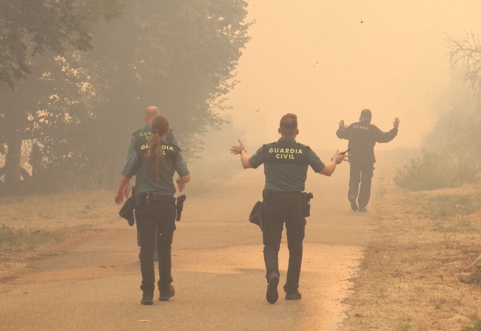 El incendio de Congosta, en imágenes