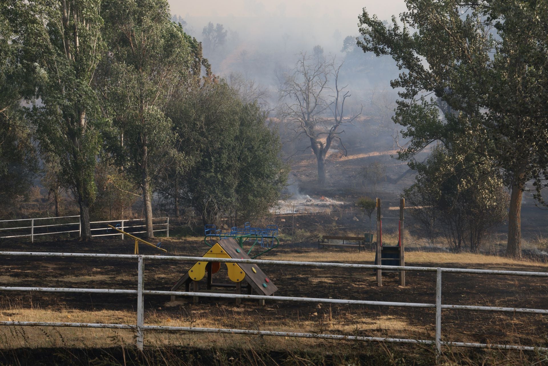 El incendio de Congosta, en imágenes