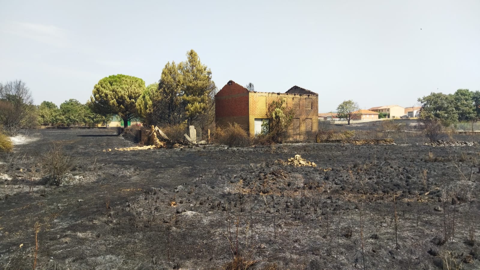 El incendio de Zamora en imágenes