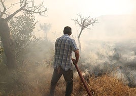 Trabajos para sofocar el incendio en Congosta de Vidriales, Zamora.