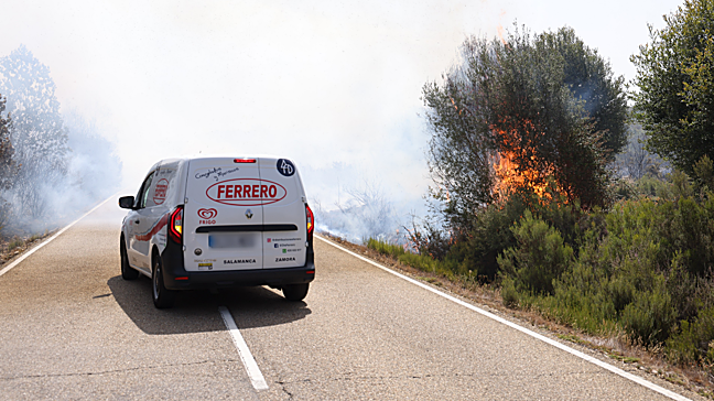Si va conduciendo su vehículo y se encuentra con llamas, ¿qué debe hacer?