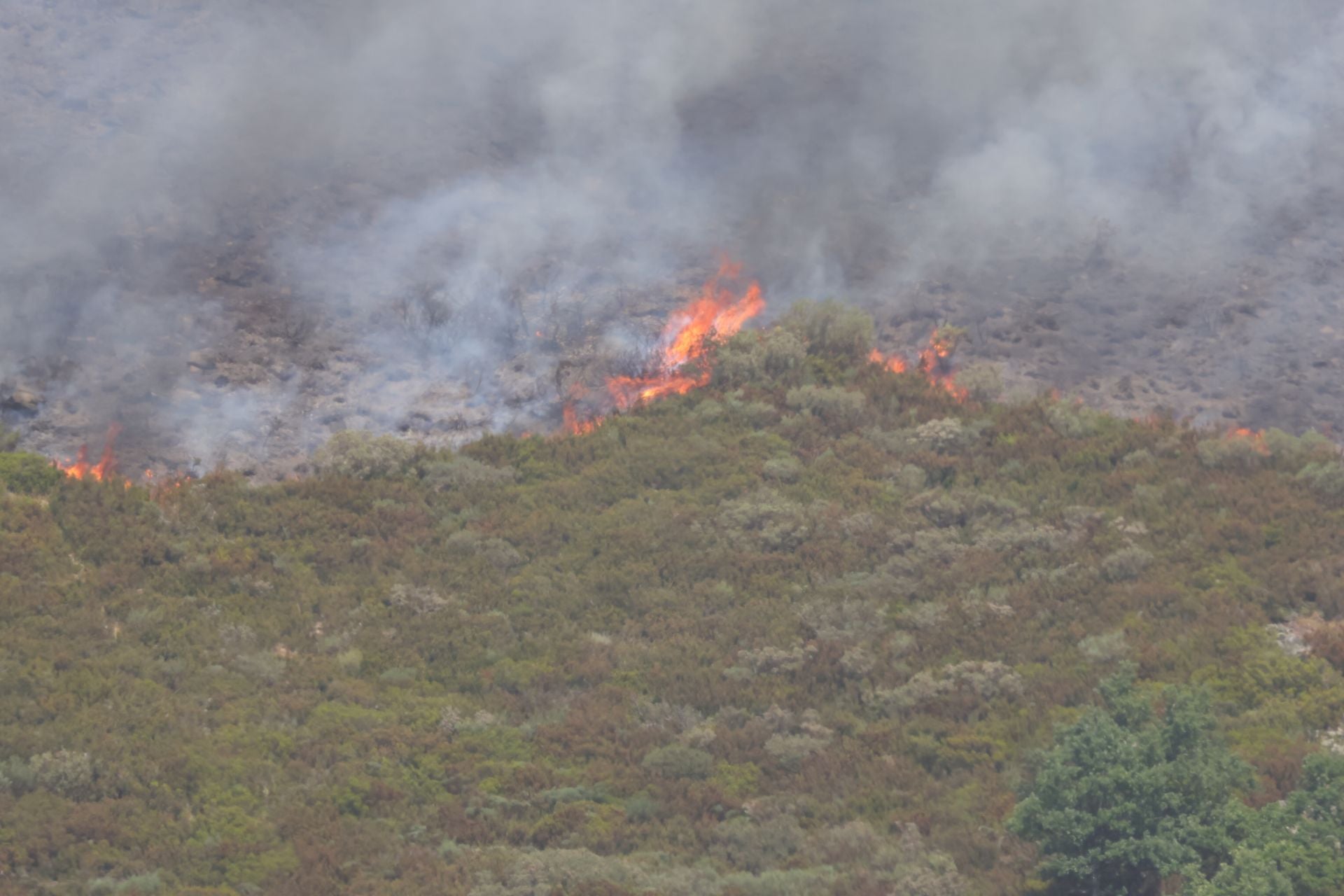 El fuego, de cerca en Peña Carazo, en la Montaña Palentina