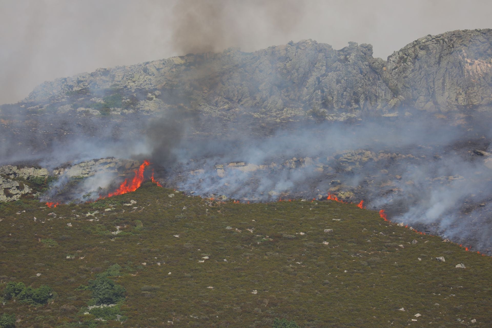 El fuego, de cerca en Peña Carazo, en la Montaña Palentina