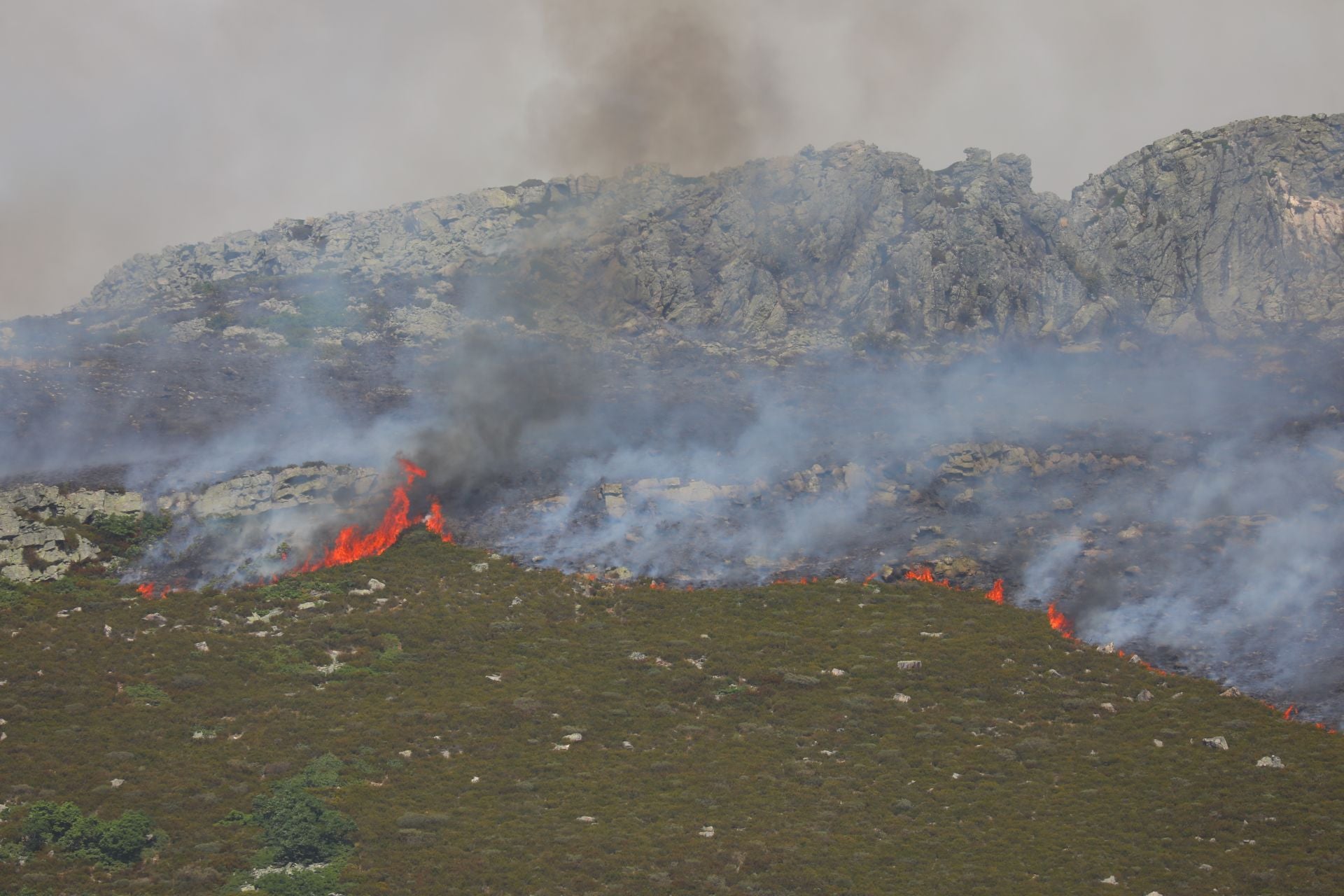 El fuego, de cerca en Peña Carazo, en la Montaña Palentina