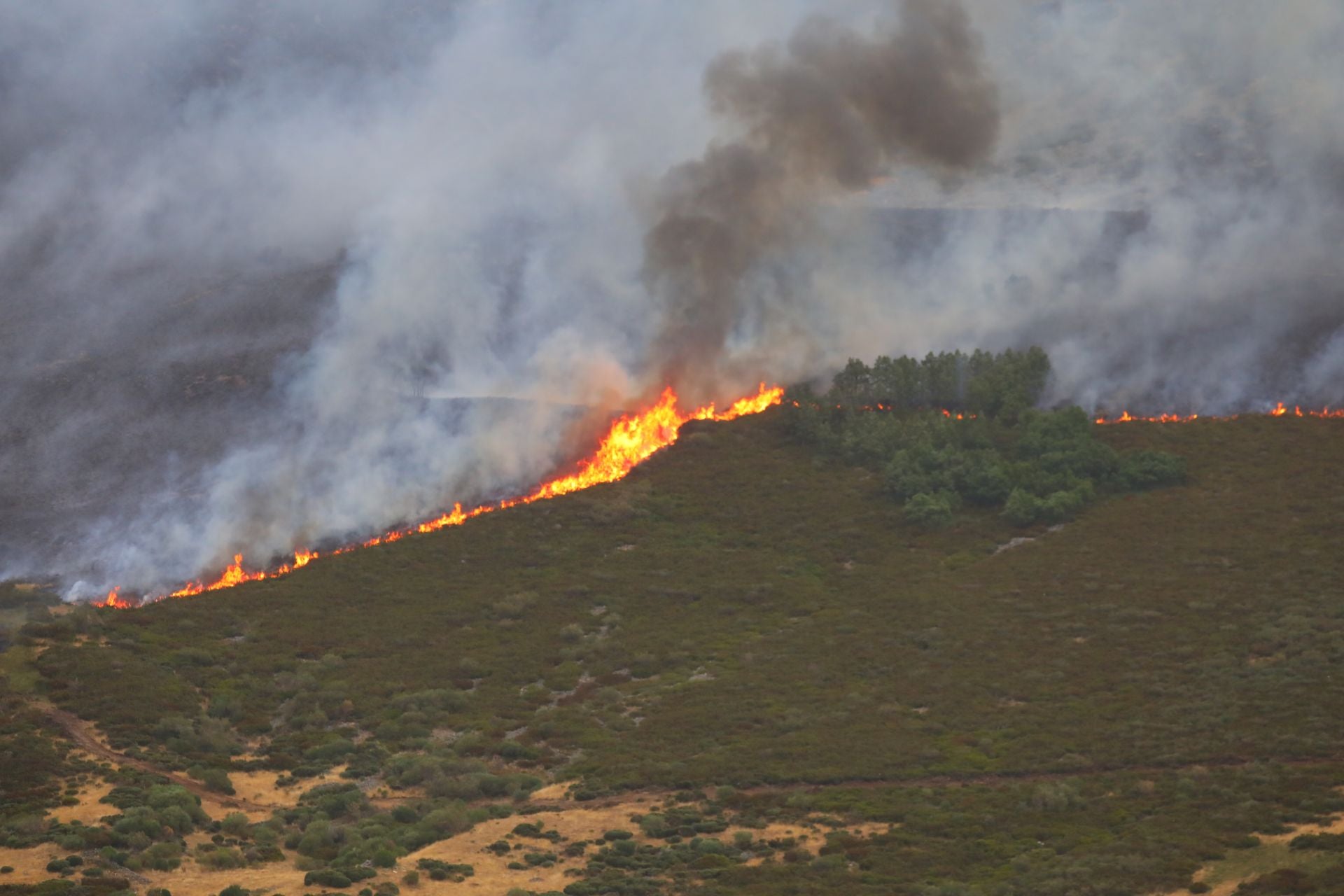 El fuego, de cerca en Peña Carazo, en la Montaña Palentina