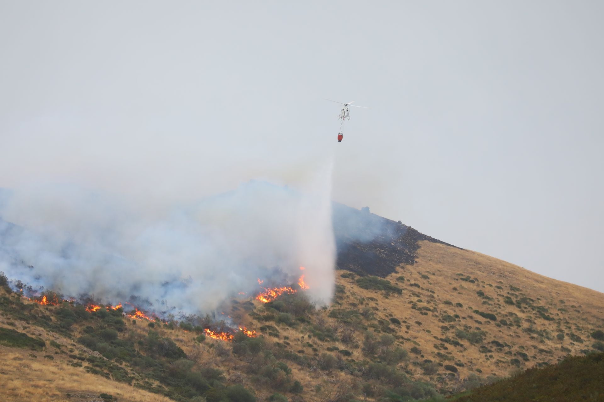 El fuego, de cerca en Peña Carazo, en la Montaña Palentina