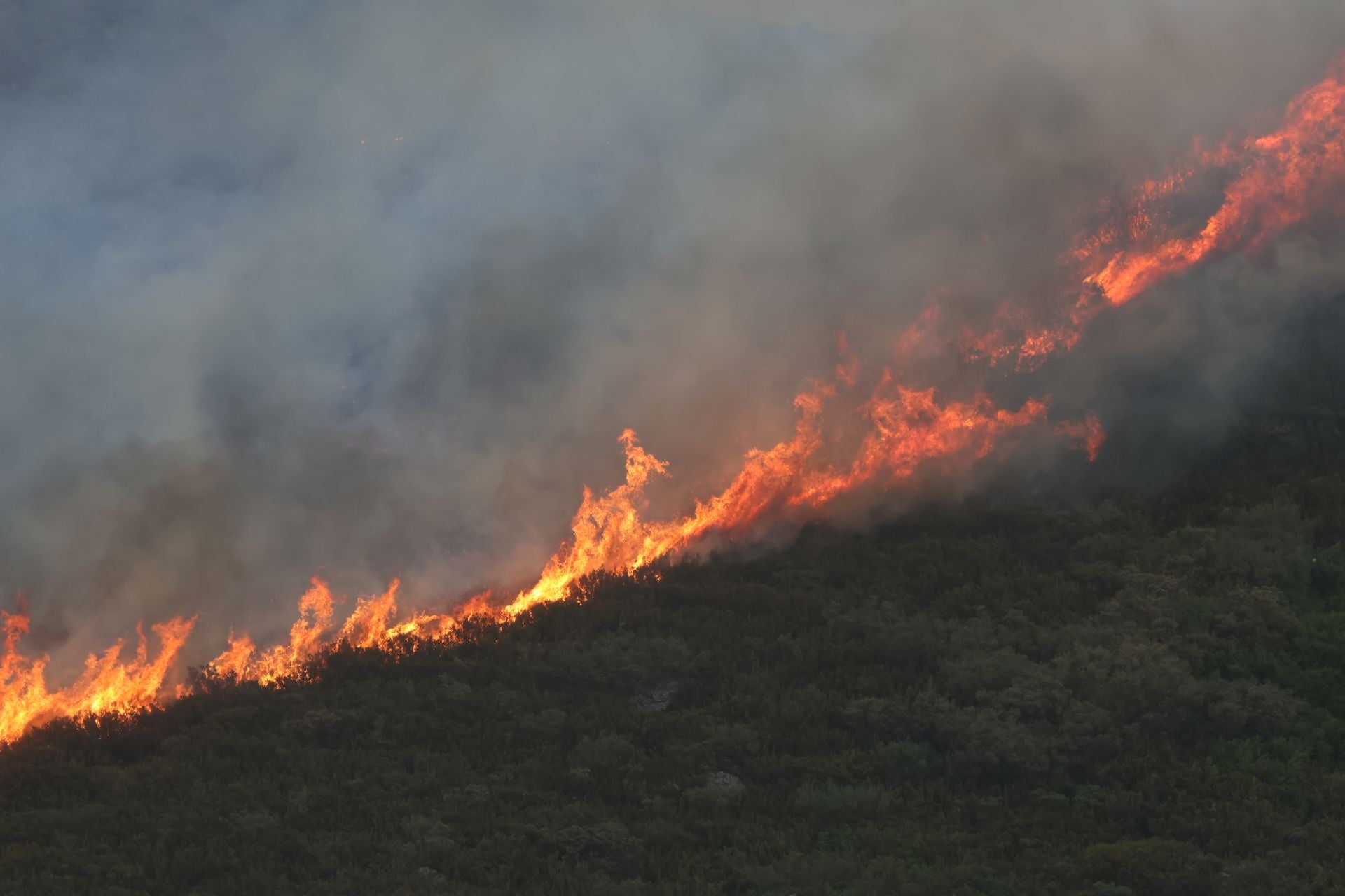 El fuego, de cerca en Peña Carazo, en la Montaña Palentina