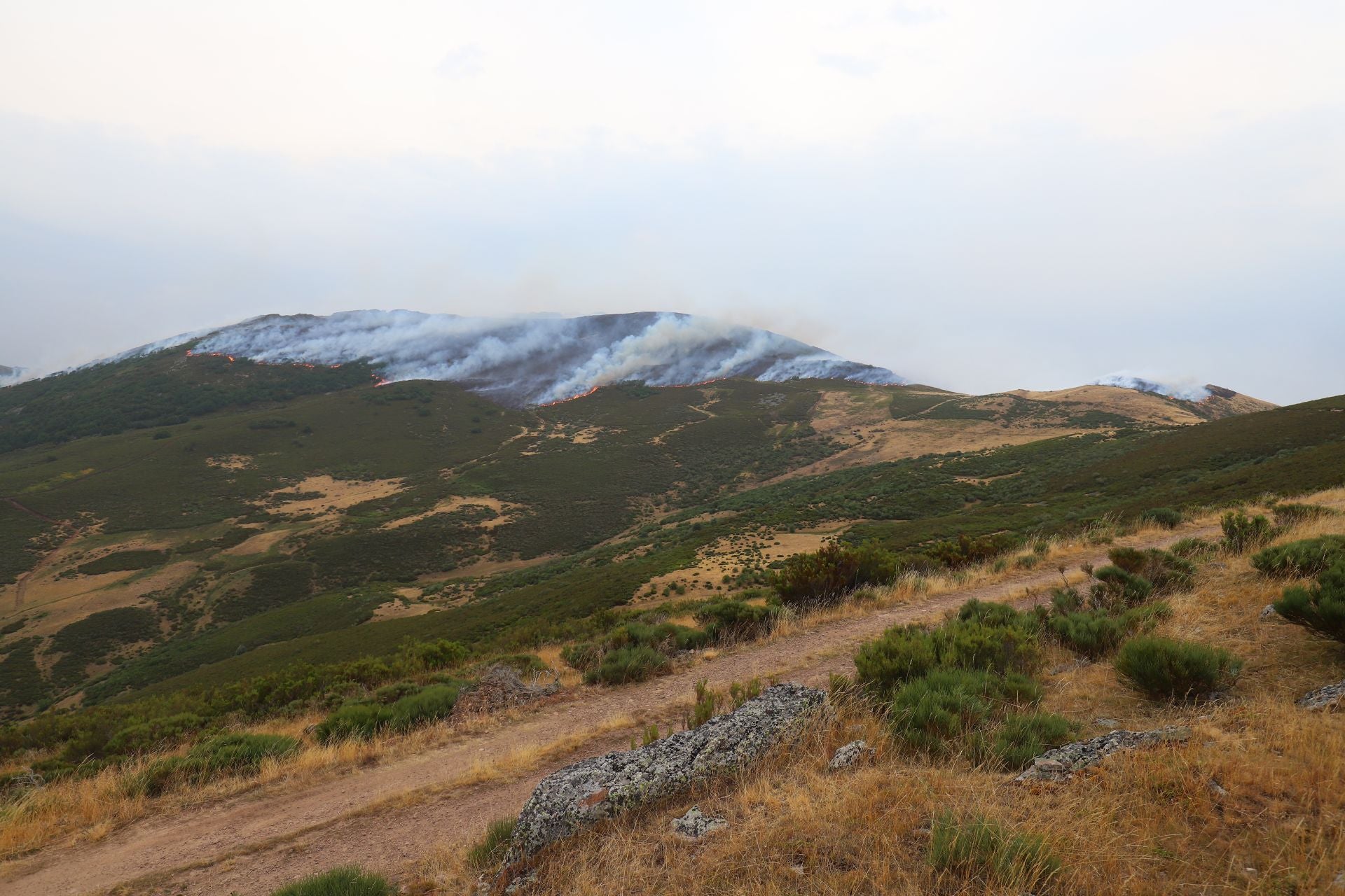 El fuego, de cerca en Peña Carazo, en la Montaña Palentina