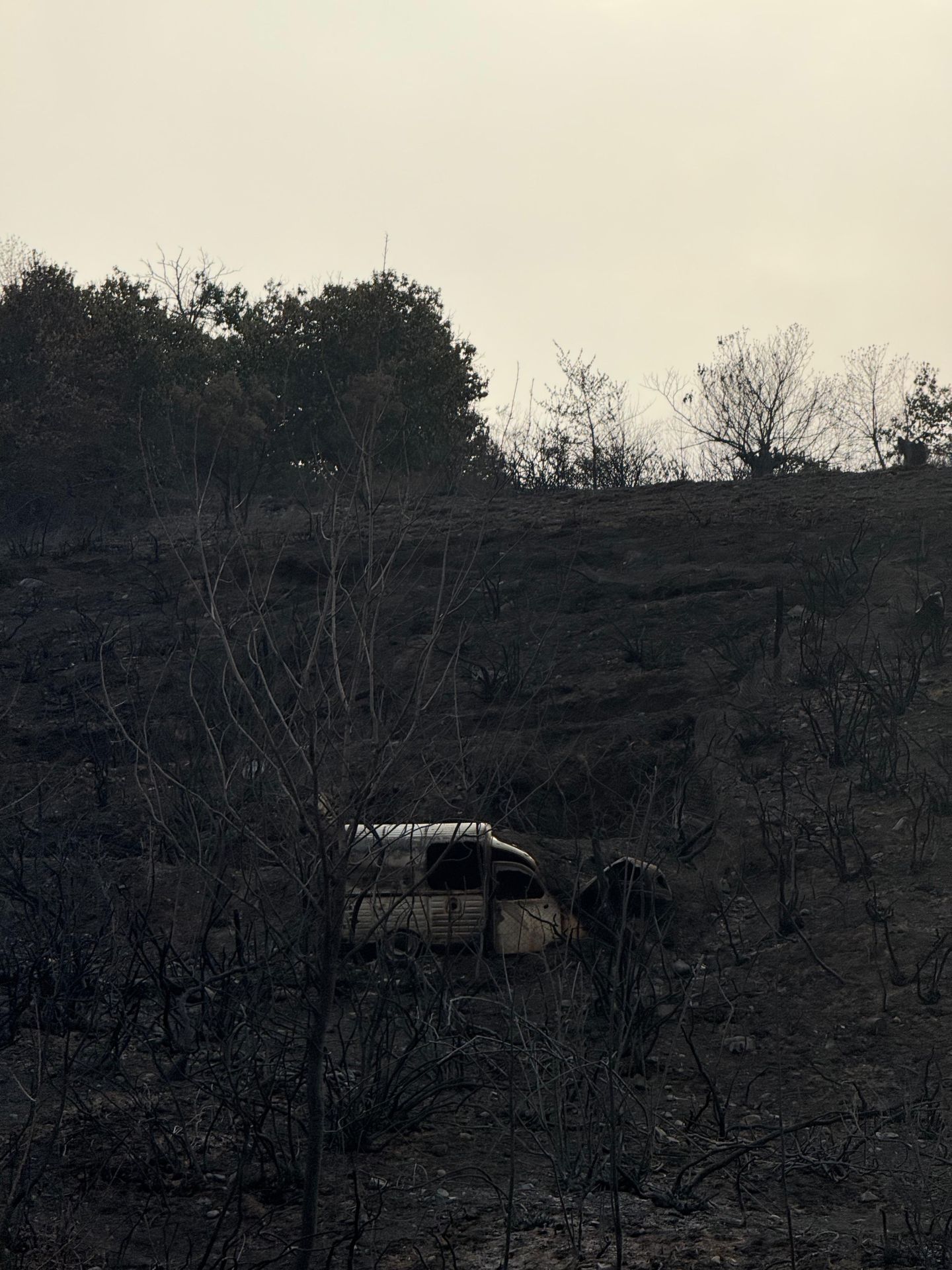 Así han quedado Las Médulas tras el incendio