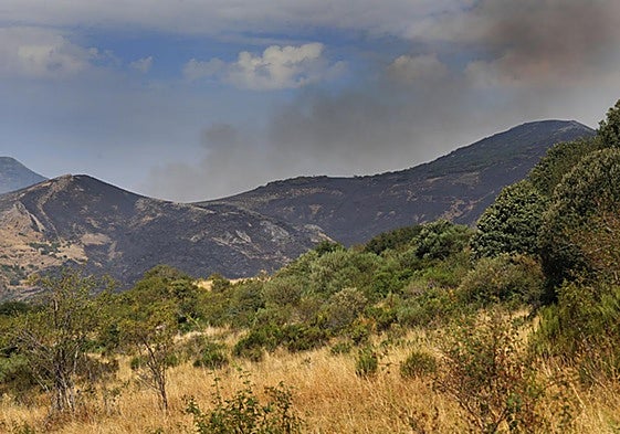 Las imágenes del incendio en la Montaña Palentina