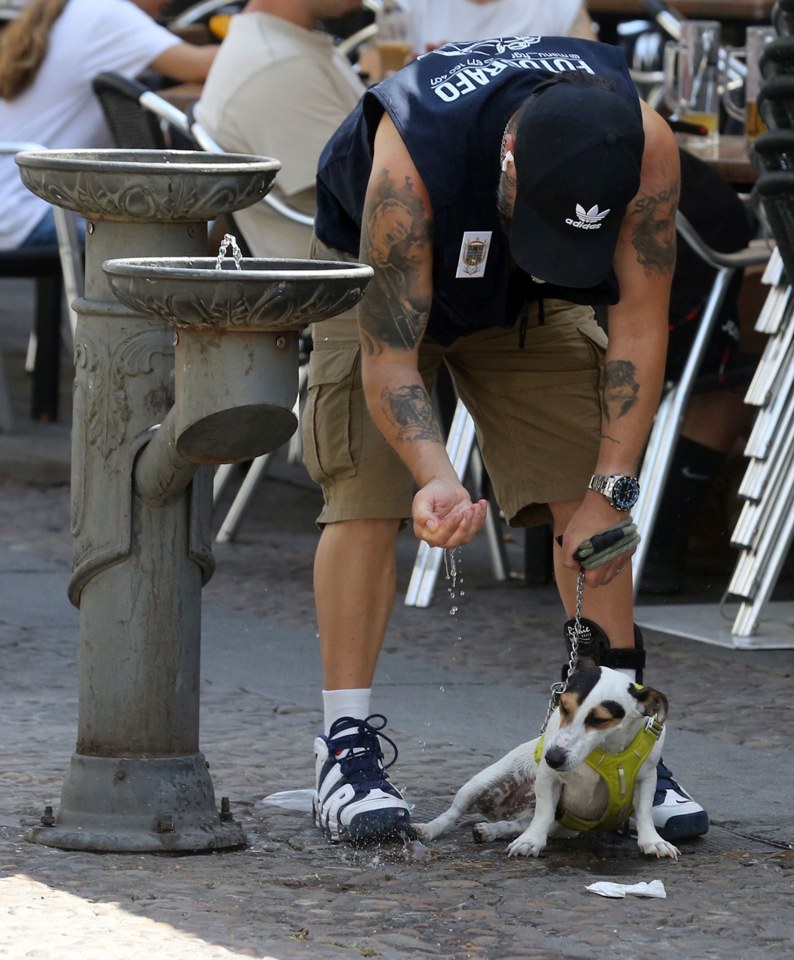 Fotos de una nueva jornada de calor en Segovia