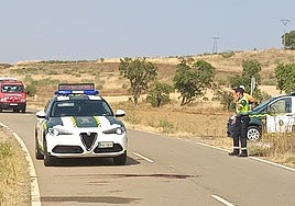 La Guardia Civil en el punto donde se ha producido el accidente, en la salida de San Román hacia Toro.